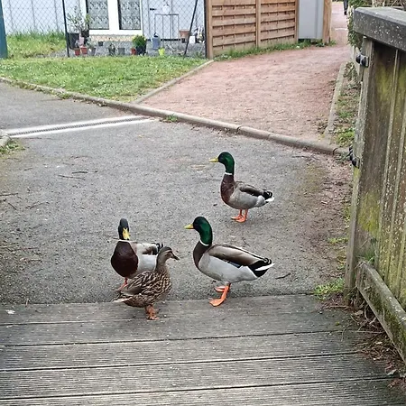 Ubytování v soukromí Chez Dani