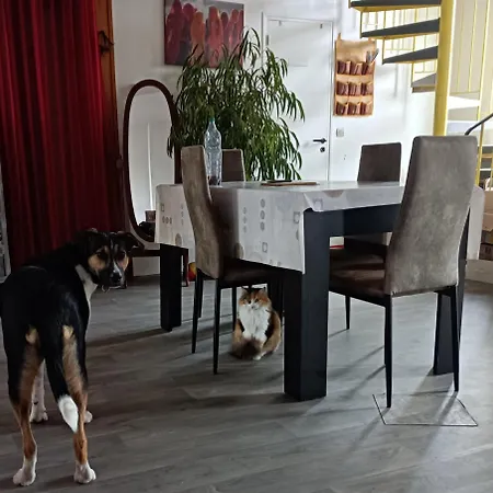 Chez Dani 民宿 Château-du-Loir