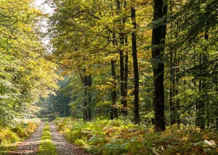 Quarto em Acomodações Particulares Chez Dani *