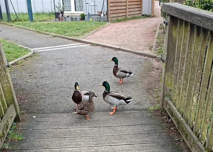 Alloggio in famiglia Chez Dani