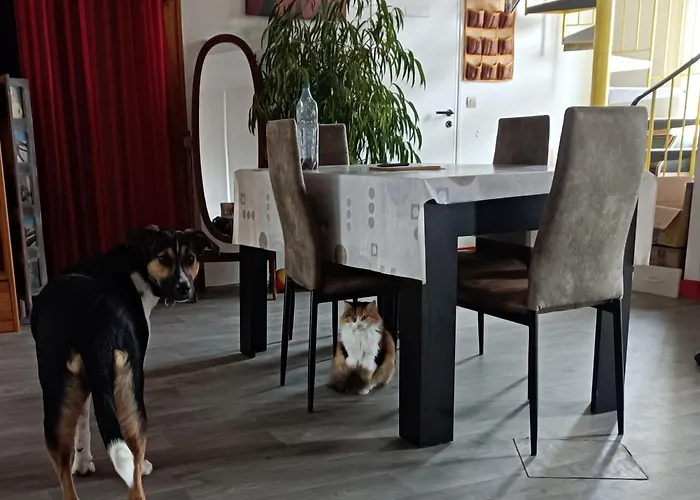 Chez Dani Quarto em Acomodações Particulares Château-du-Loir